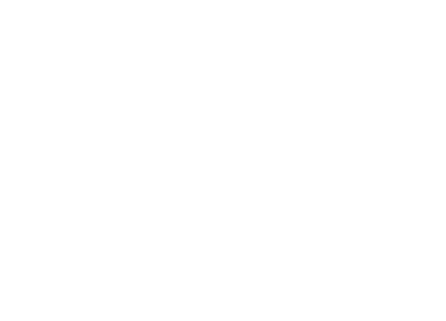 RIS Group